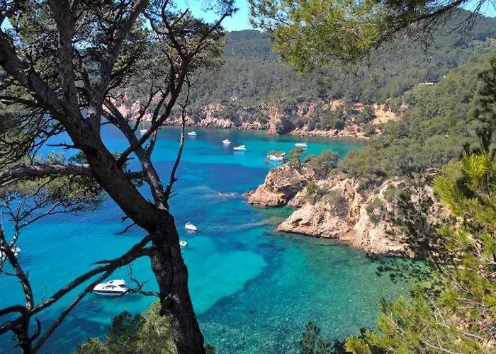 Centre 2 Etoiles Ideal Emplacement Lejlighed Bandol